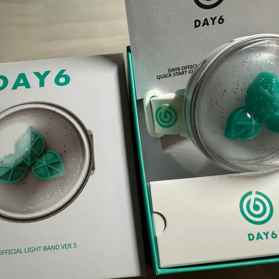 DAY6 공식 응원봉 3ver