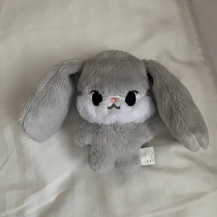 엔시티127 도영 인형 됴토끼 양도