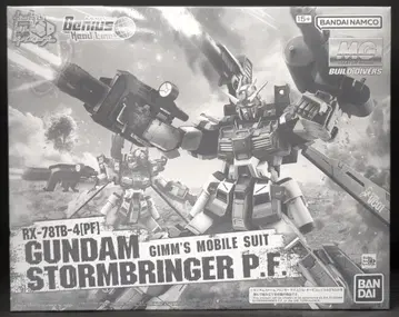 BANDAI SPIRITS MG 1/100 건담 빌드 다이버즈 Genius Head Line 건담 스톰 브링거 P.F.