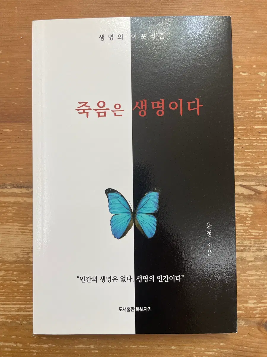 생명은 죽음이다 - 윤정