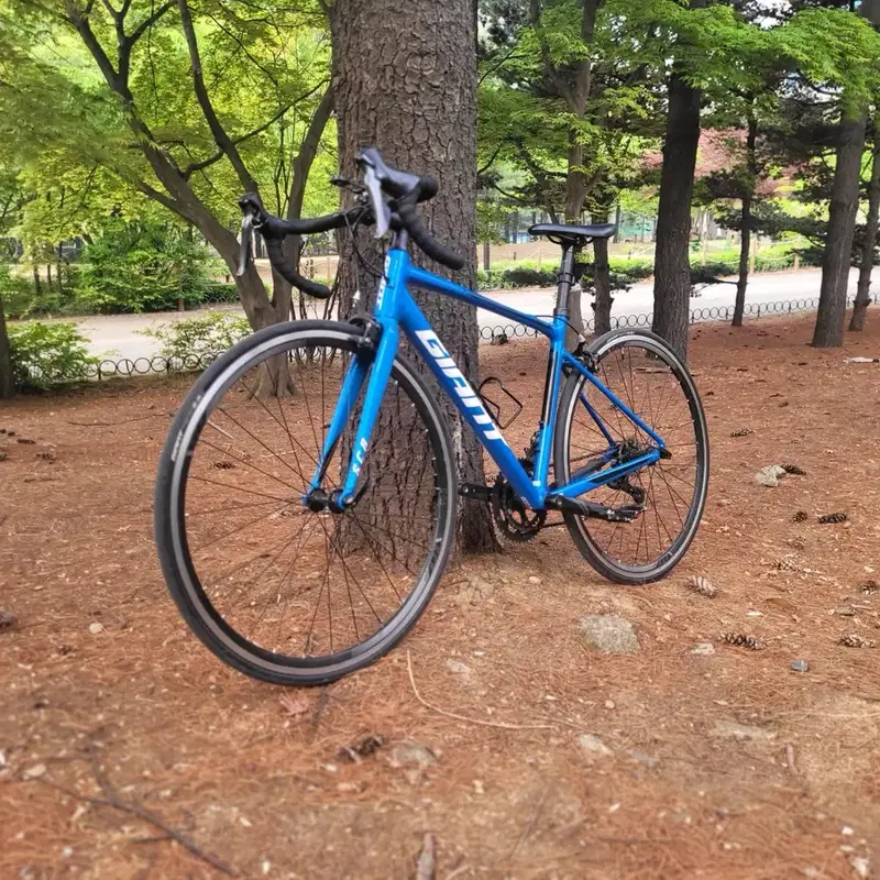 자이언트 SCR로드 직거래만 받습니다