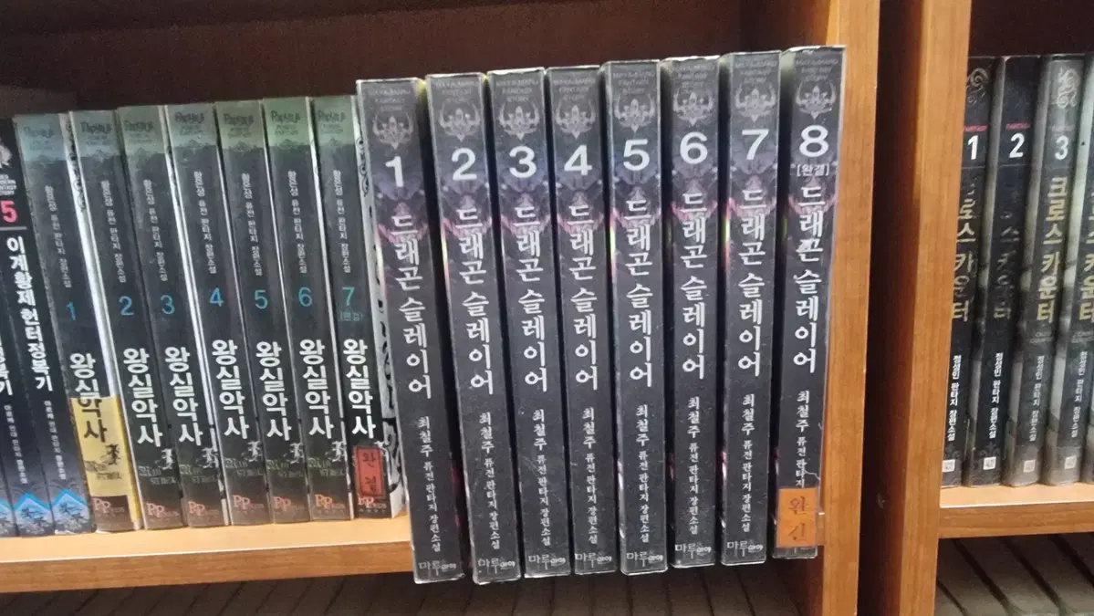 드래곤슬레이어 1-8 완 최철주 퓨전판타지 소설