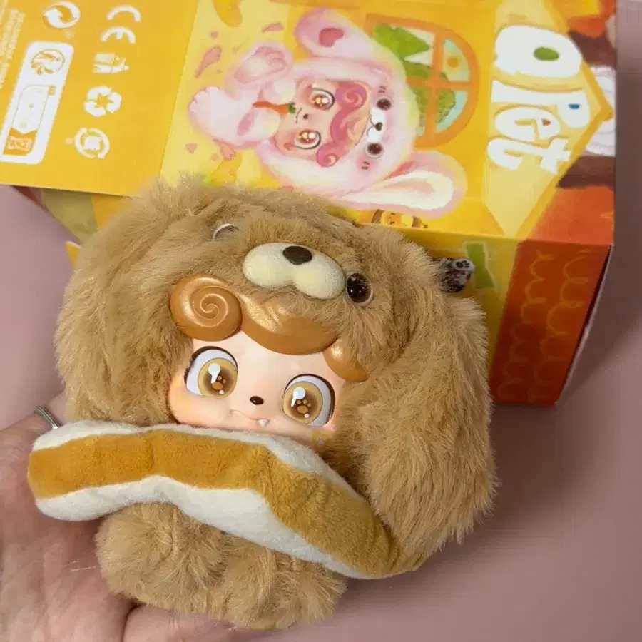 큐키드 펫