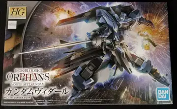 BANDAI SPIRITS HG 반다이판 건담 비다르