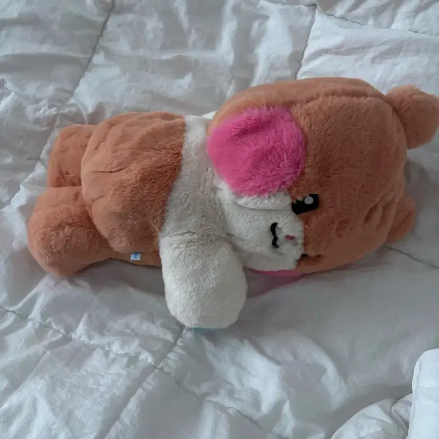 비니니 성한빈 인형 가방