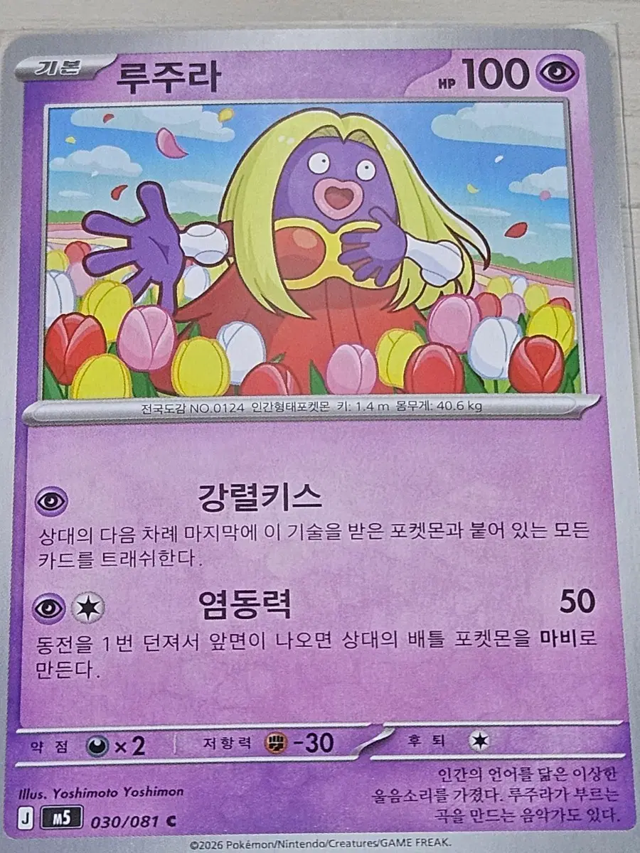 [최저가] 포켓몬카드 루주라