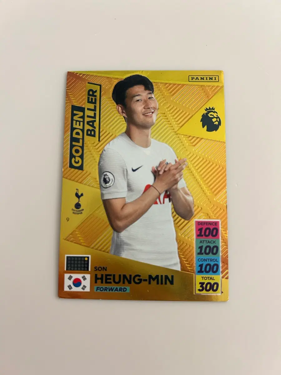 파니니 축구카드