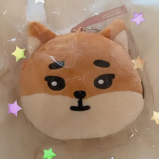 (미개봉) 데이식스 2019 클콘 케 파우치
