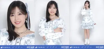 노기자카46 2026년 3월 랜덤 브로마이드 시바타 유나 비리야니 컴프
