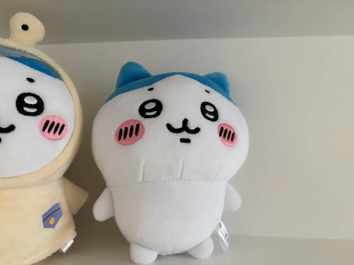 돈키호테 정품 하치와레
