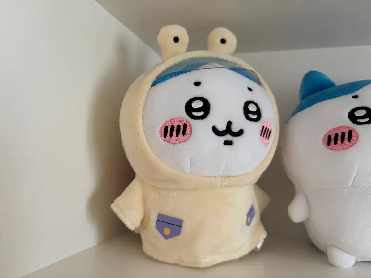 급처 돈키호테 정품 달팽이 하치와레