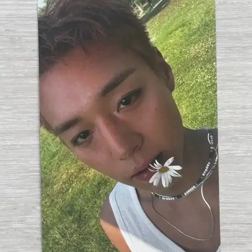 박지훈 공식 앨범 포토카드