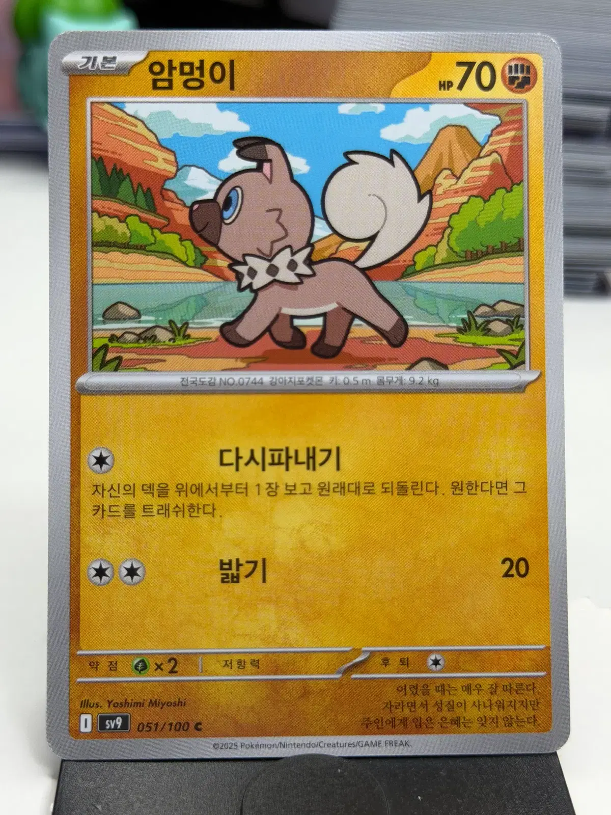 암멍이 sv9 051/100 C (300)원
