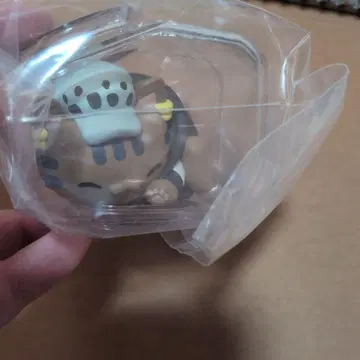 안녕히 주무세요 냥피스냥! 트라팔가 로 ONE PIECE