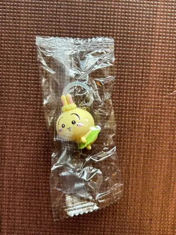 치이카와 영화 토끼 입장 특전