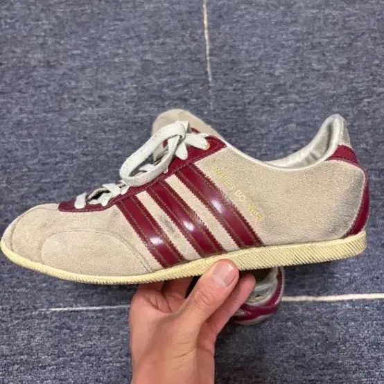 웨일스보너 260