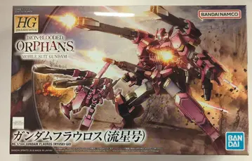 BANDAI SPIRITS HG 1/144 반다이남코판 건담 플라우로스(유성호) 영문 타이틀판