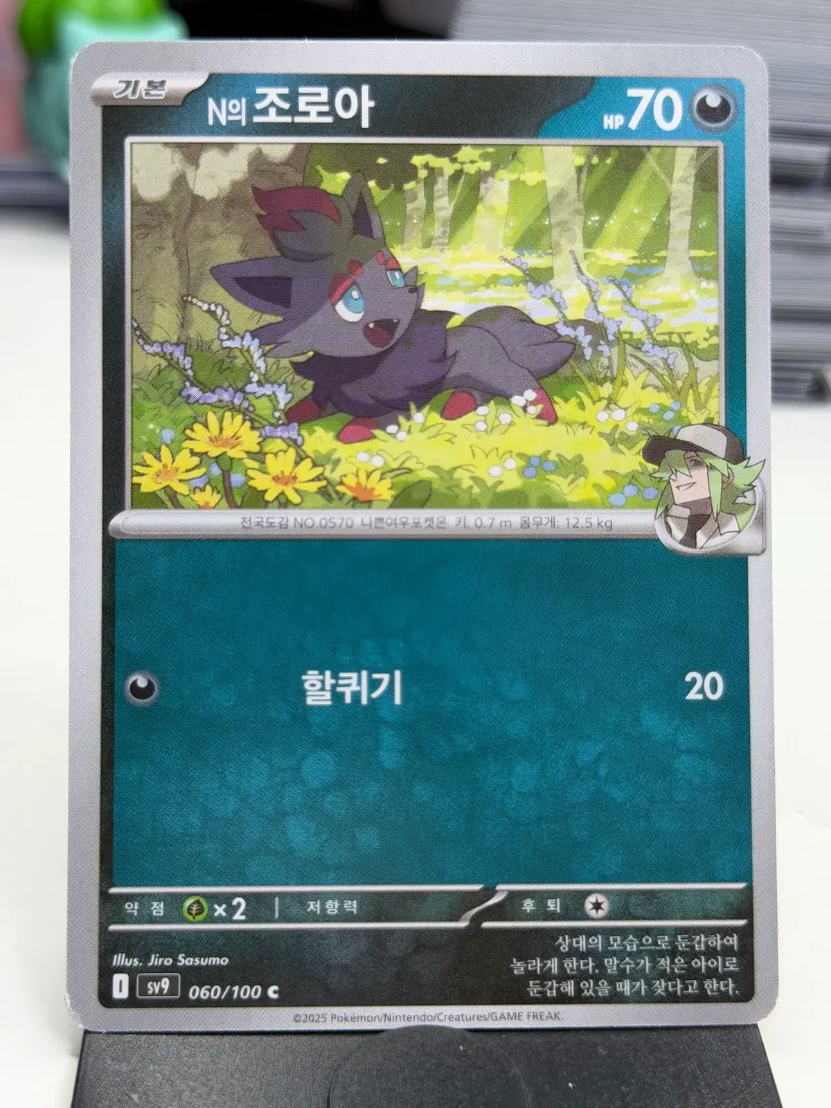 N의 조로아 sv9 060/100 C (300)원