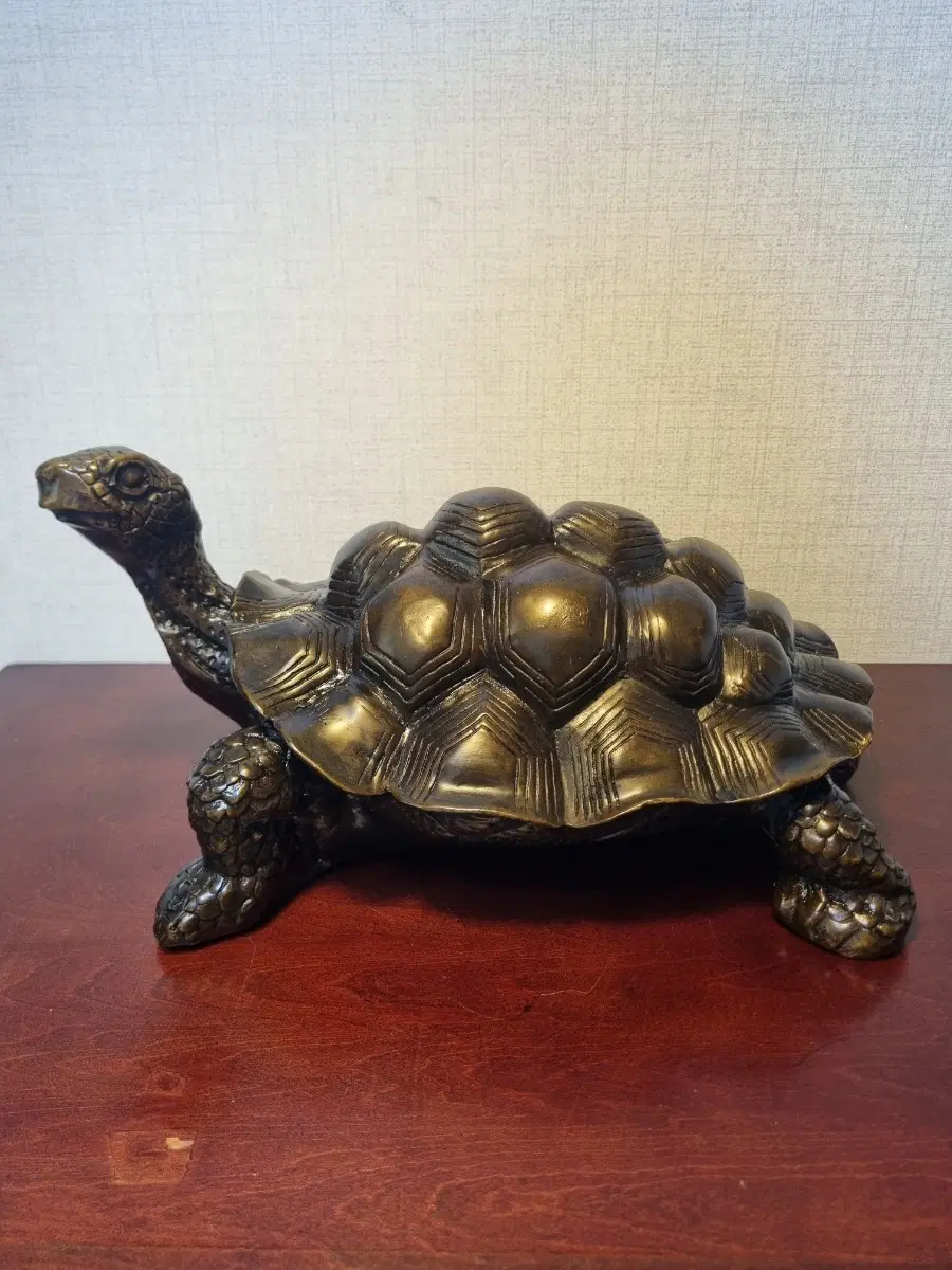 가장 큰 사이즈의 대형 동 거북이 무게 9.1kg [동 브론즈]