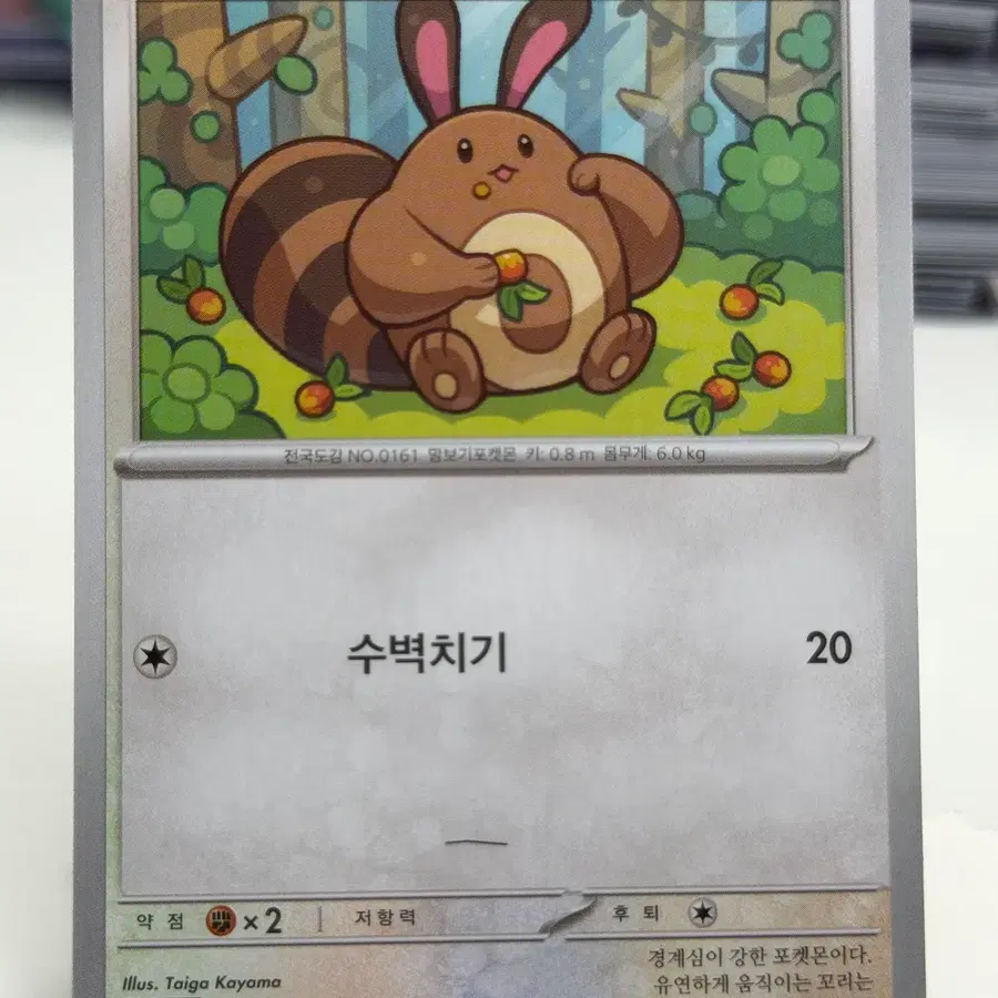 꼬리선 sv9 076/100 C (300)원