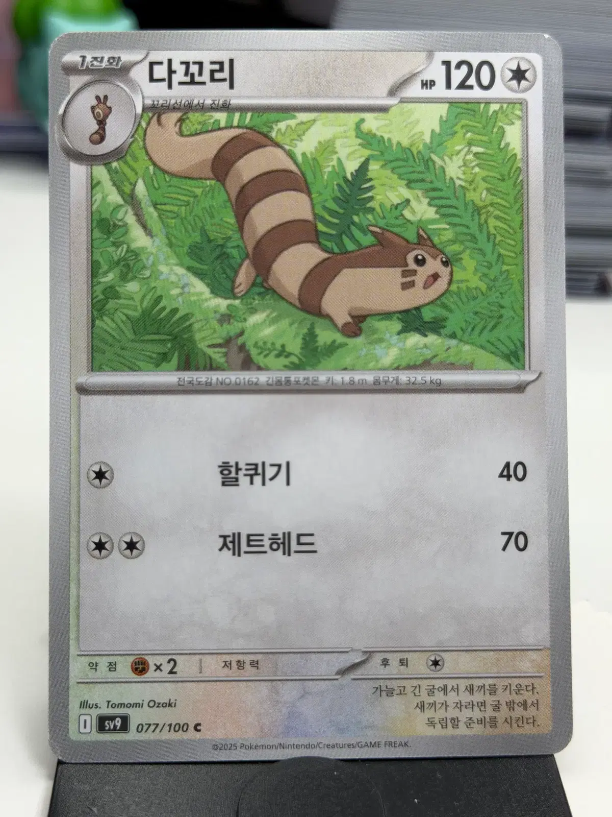 다꼬리 sv9 077/100 C (300)원