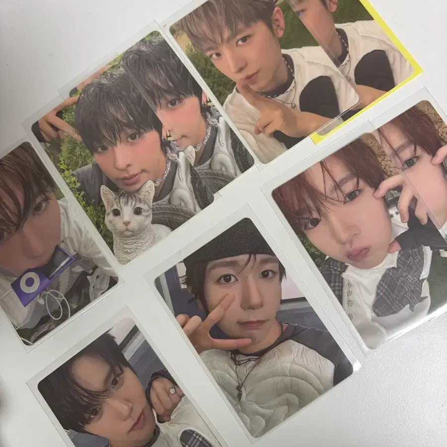 Nct wish 컬러 쥬얼 포카
