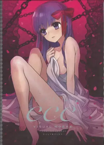 게임 CD Fate/EXTRA CCC 비주얼 웍스