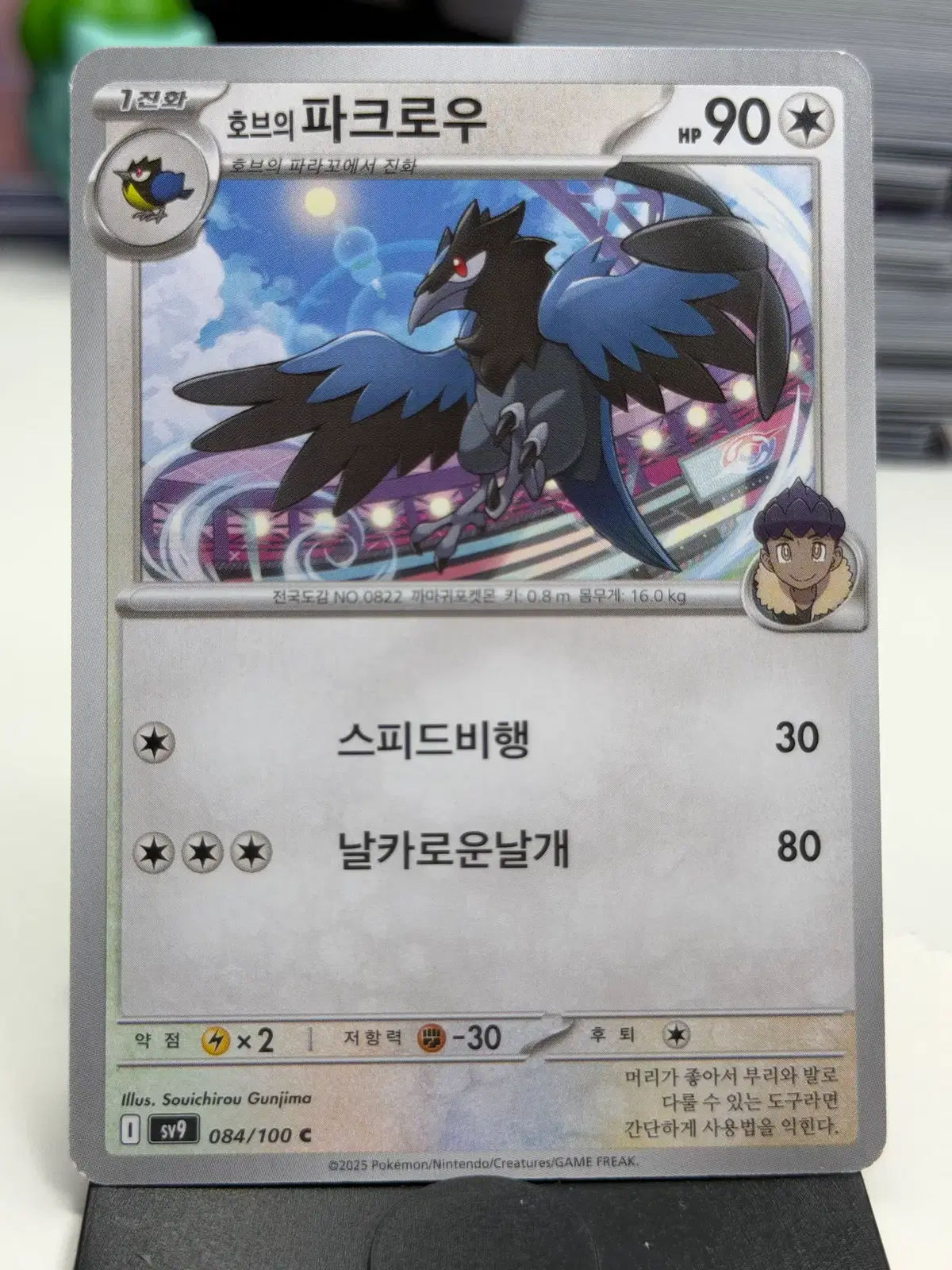 호브의 파크로우 sv9 084/100 C (300)원
