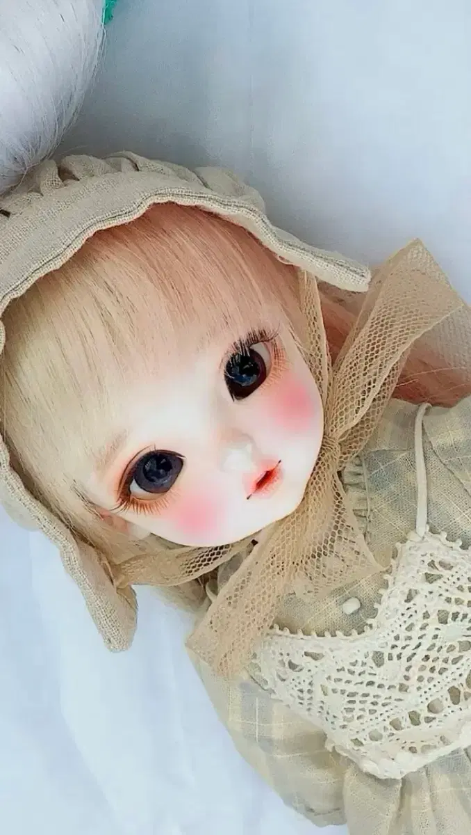 배포 19)치카비 구체관절인형 31 롱바디 보라 판매