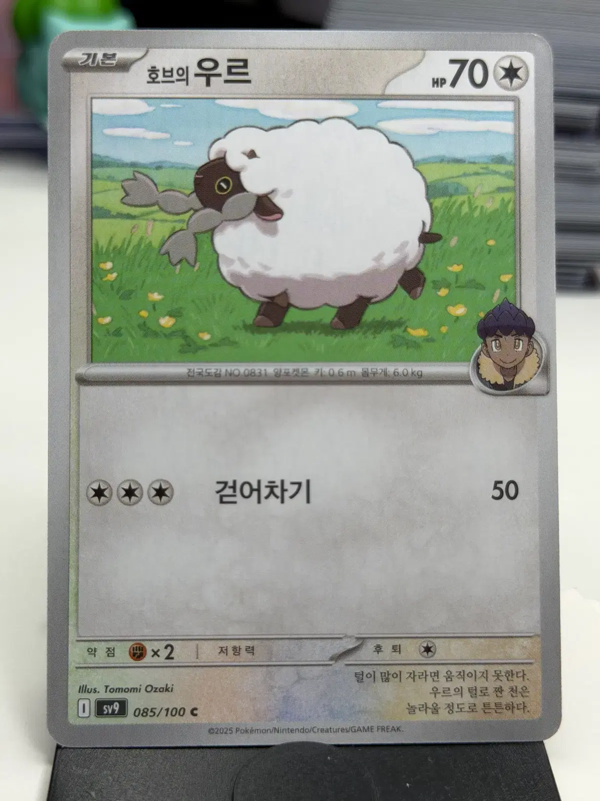 호브의 우르 sv9 085/100 C (300)원