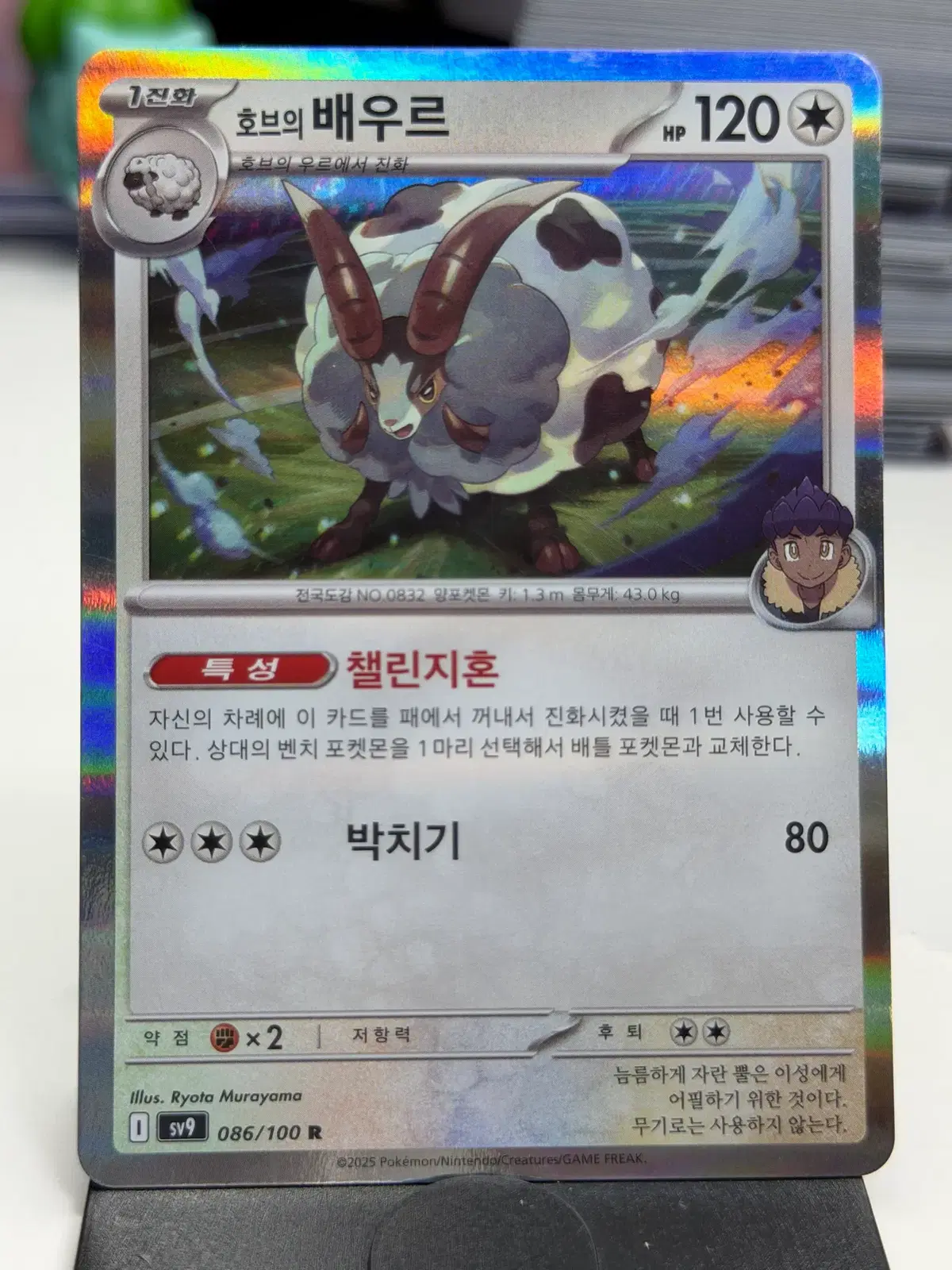 호브의 배우르 sv9 086/100 R (500)원