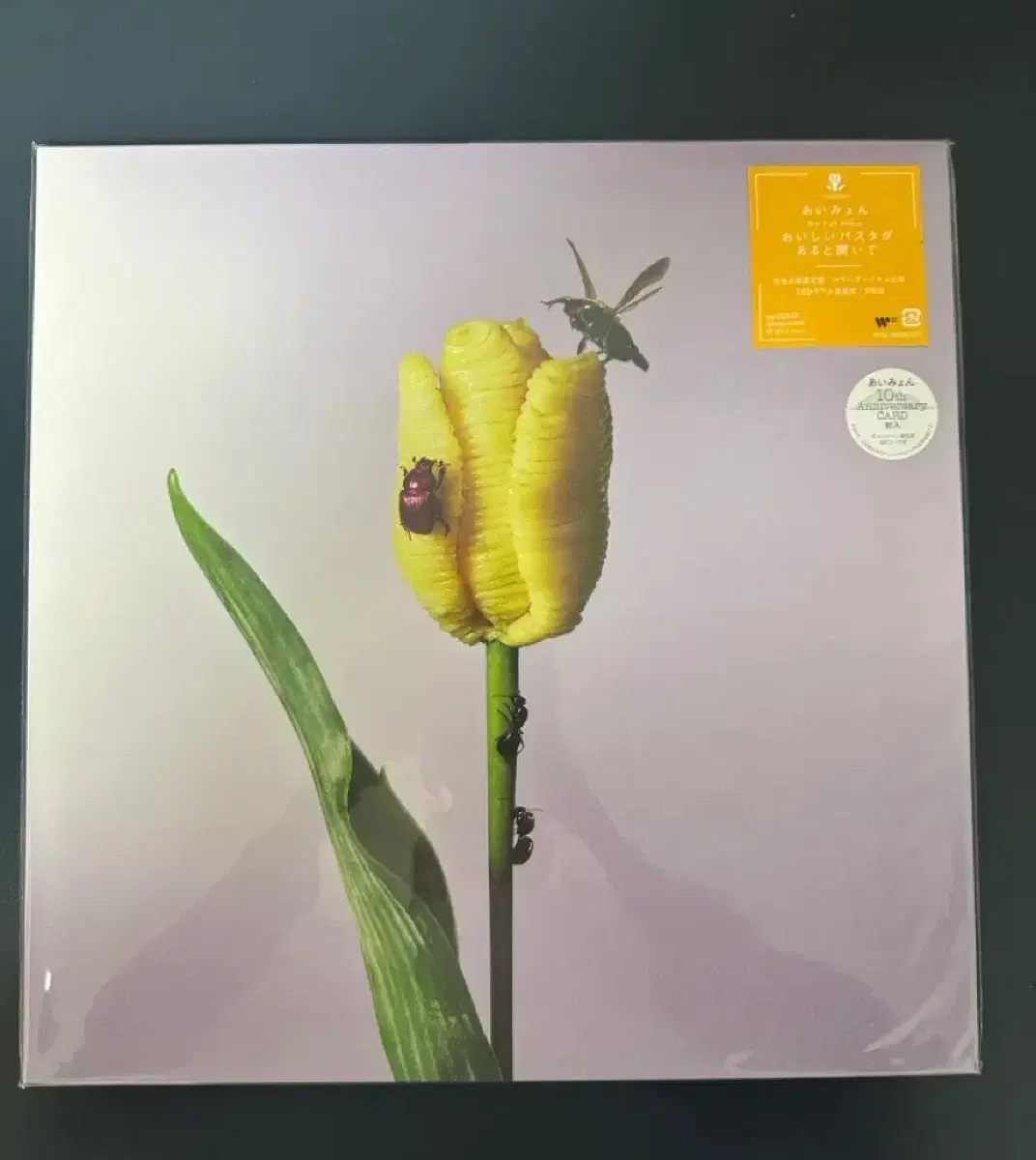아이묭 3집 LP