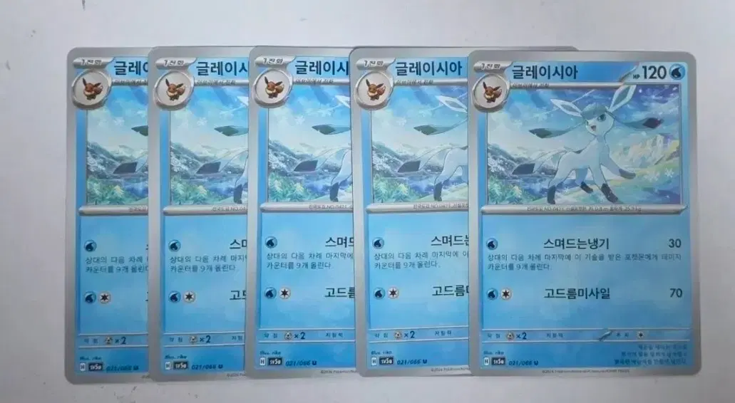 포켓몬카드 글레이시아 개당
