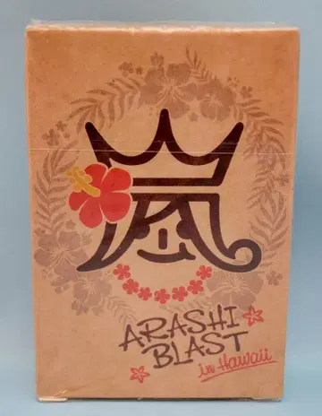 아라시 14년 BLAST in Hawaii 카드놀이