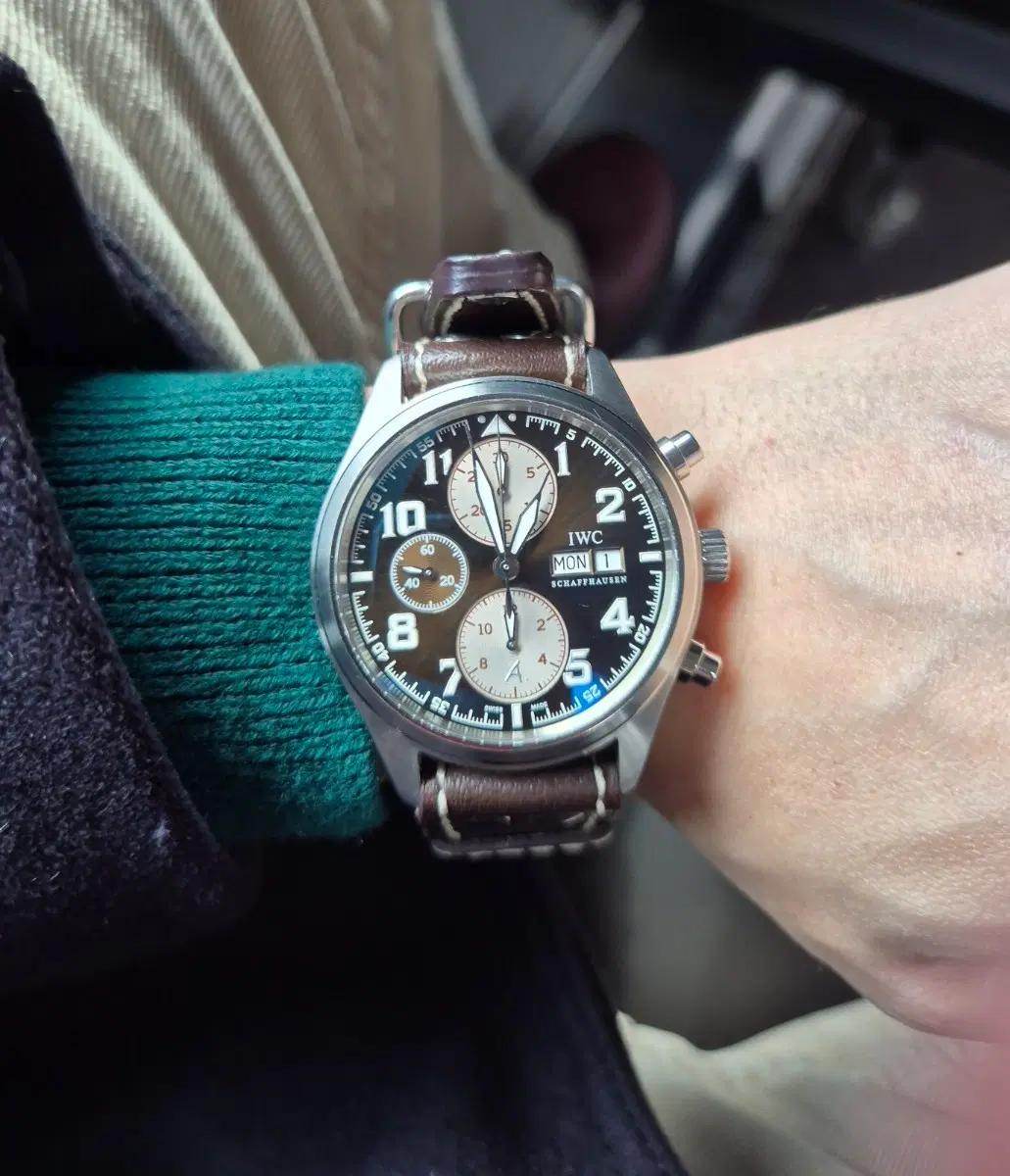 IWC 파일럿 생쥐1