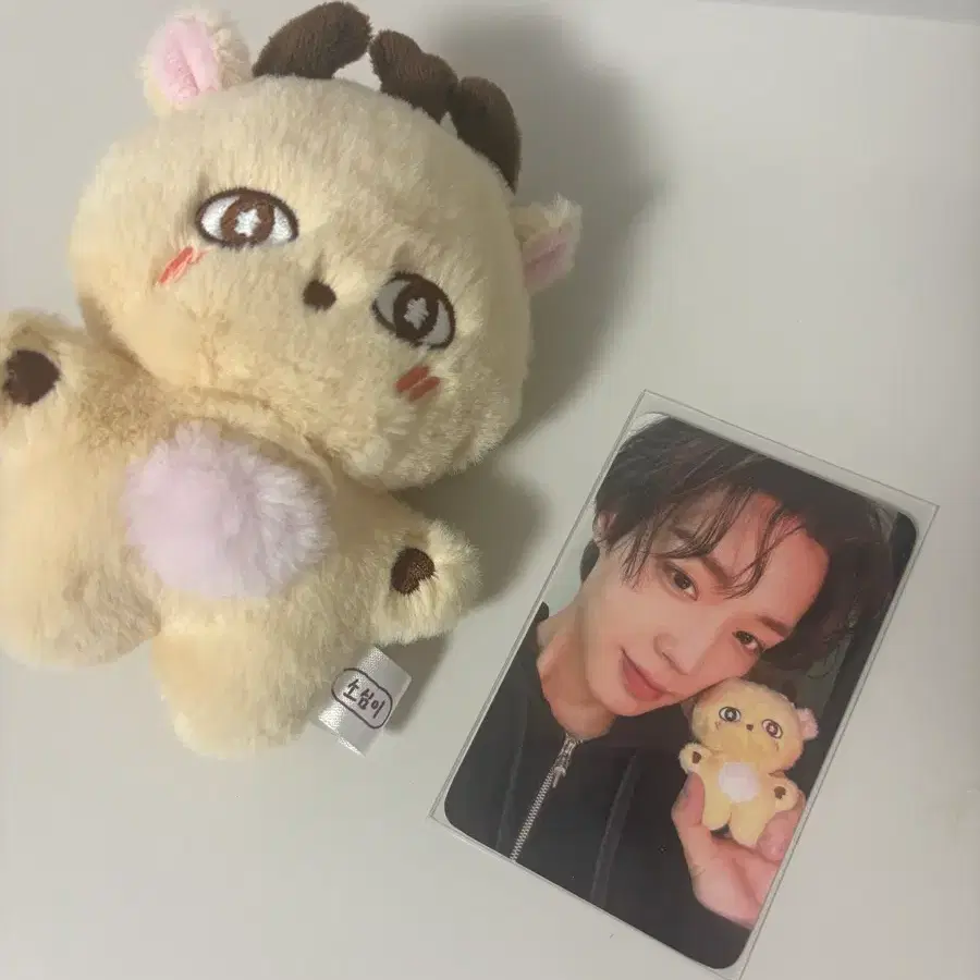 박지훈 소심이랑 포카 같이 팝니다