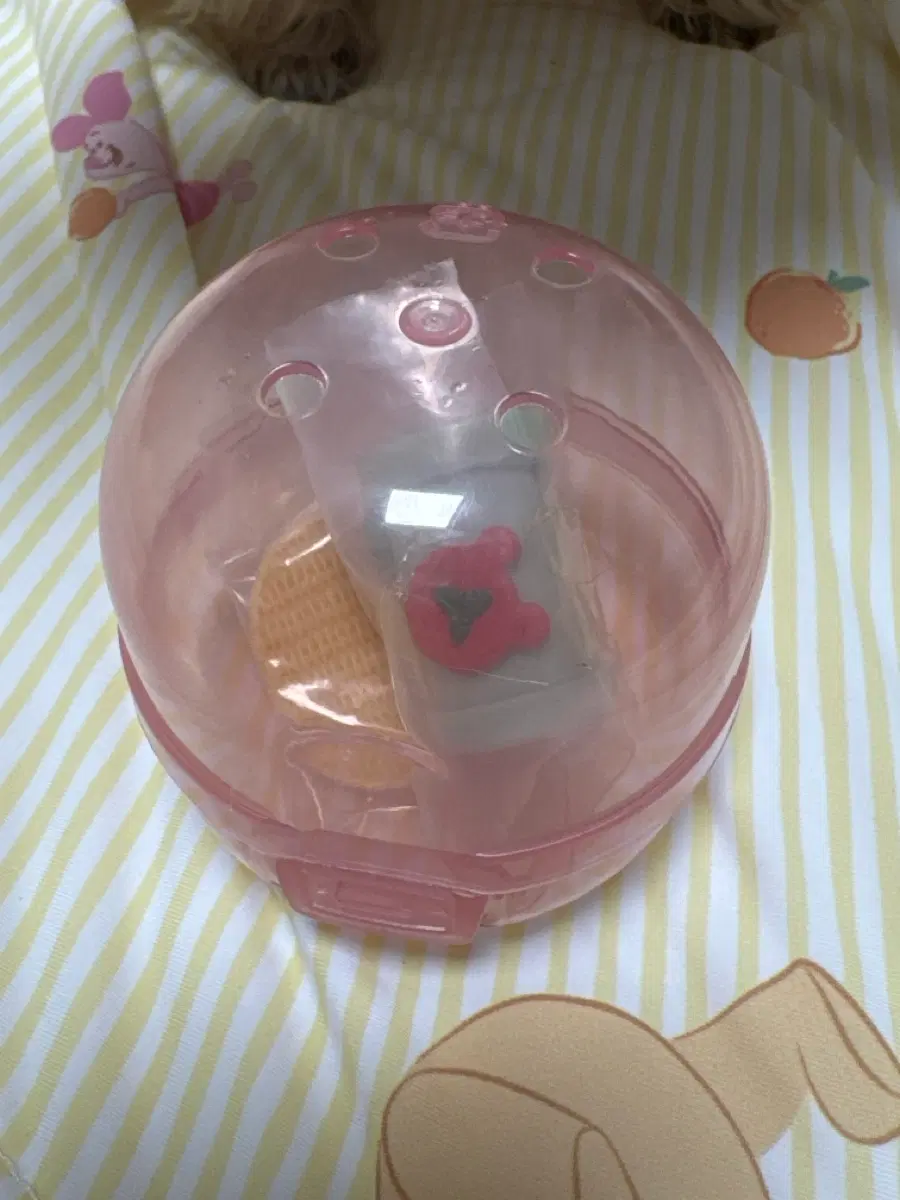 실바니안 빵 샌드위치 가챠