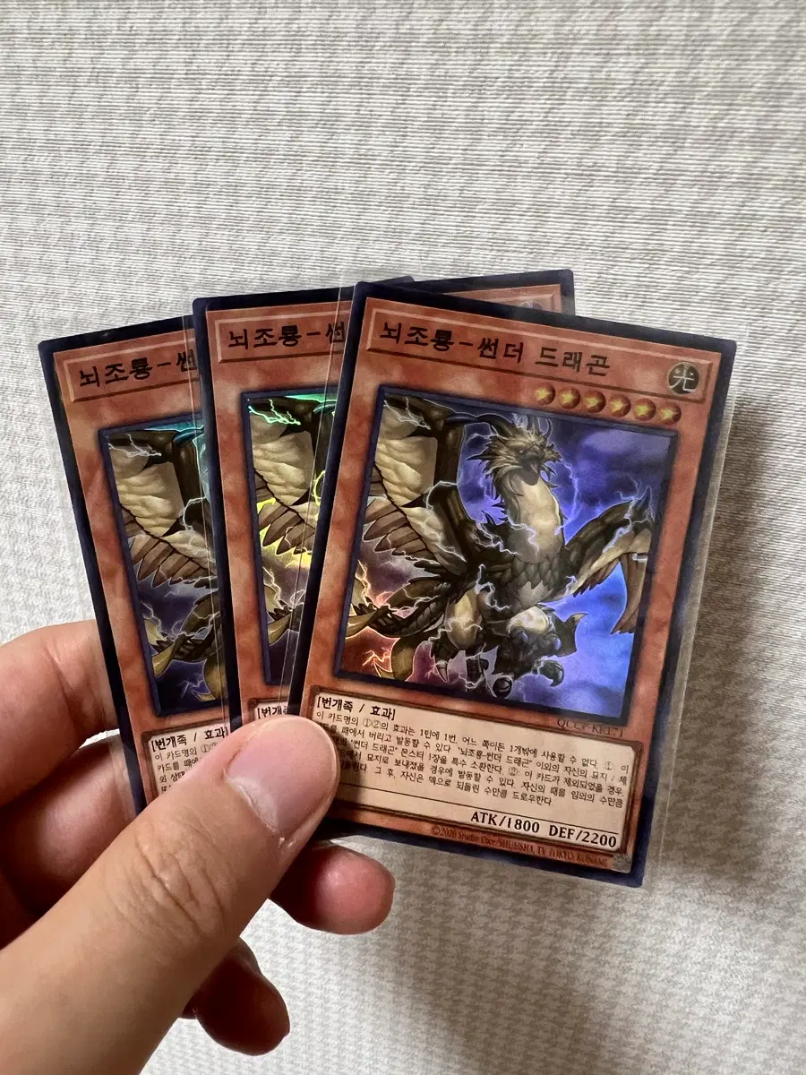 뇌조룡 썬더드래곤 슈레 3장 일괄