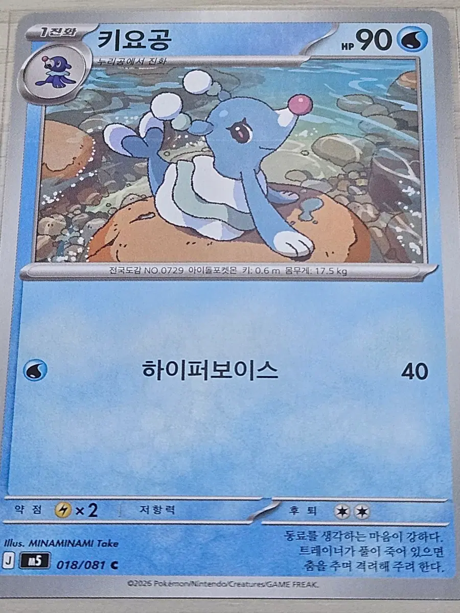 [최저가] 포켓몬 카드 키요공