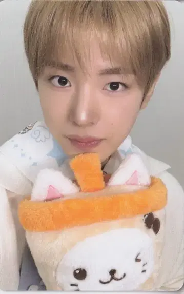 NCT WISH 7000엔 구매 혜택 YUSHI WISH BAKERY MD