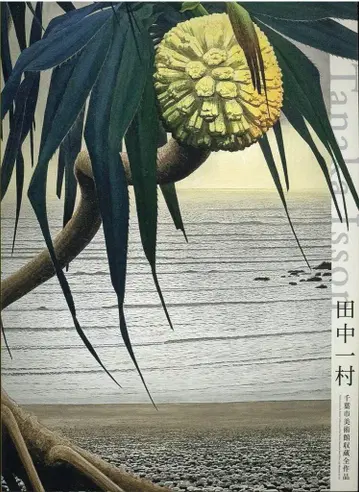 도록 다나카 잇손 다나카 잇손 치바시 미술관 소장 전 작품