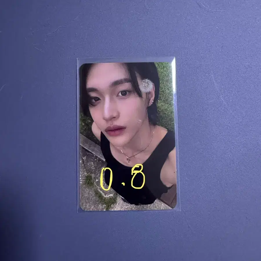 라이즈 원빈 에필로그 민들레 포카 급처