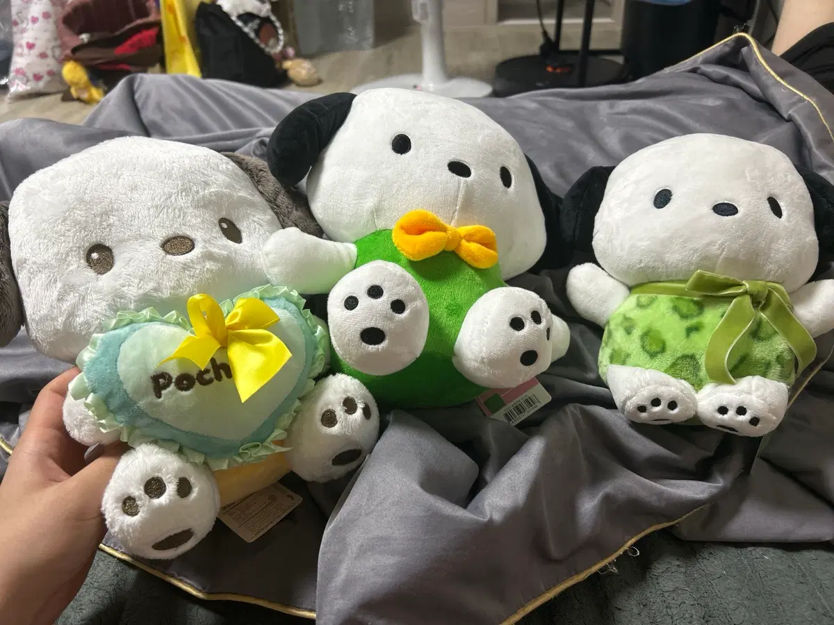 Sanrio Pochacco Doll 3 Types