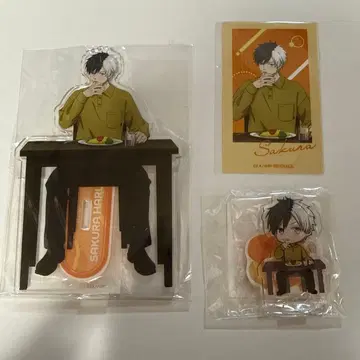 WINDBREAKER 사쿠라 하루카 3종 세트