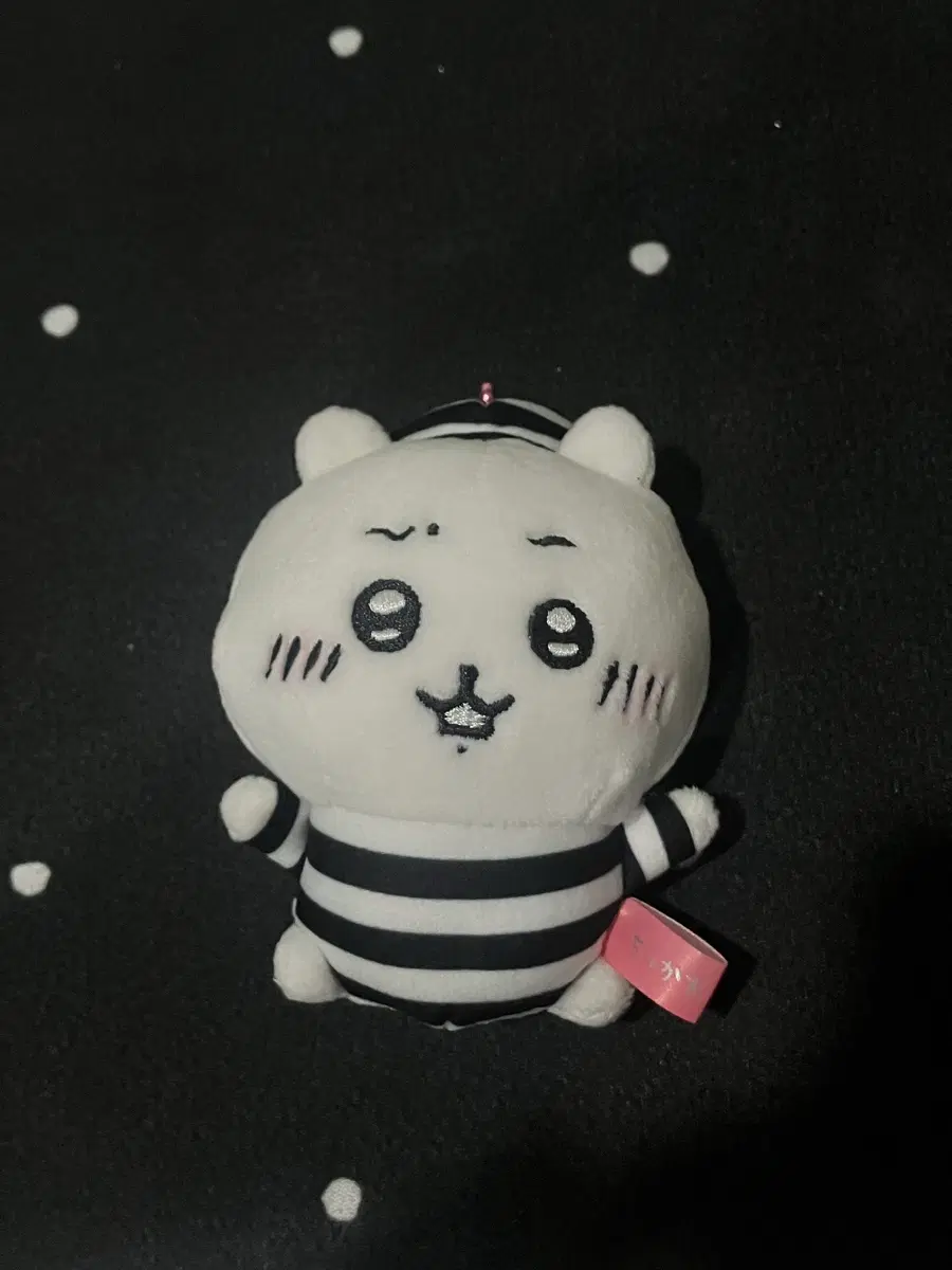 감옥 죄수 치이카와