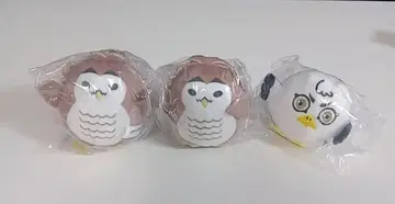 하이큐!! 아카아시 올빼미 호시우미 갈매기