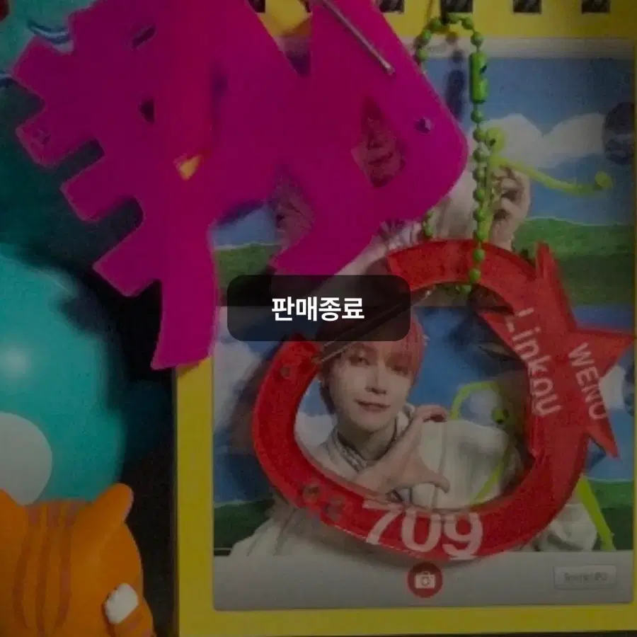 앤팀 니콜라스 바오샹님 샹샹라비너 개봉 양도
