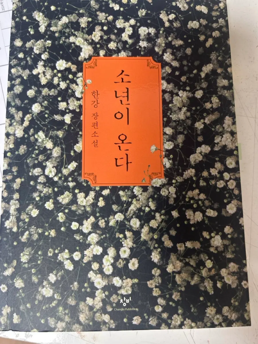 한강 소년이온다