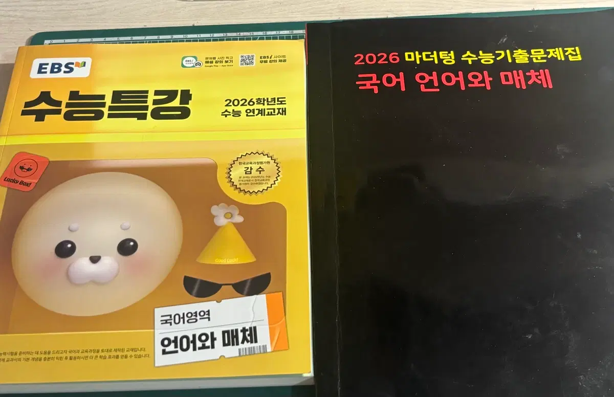 언어와 매체 수능특강 마더텅