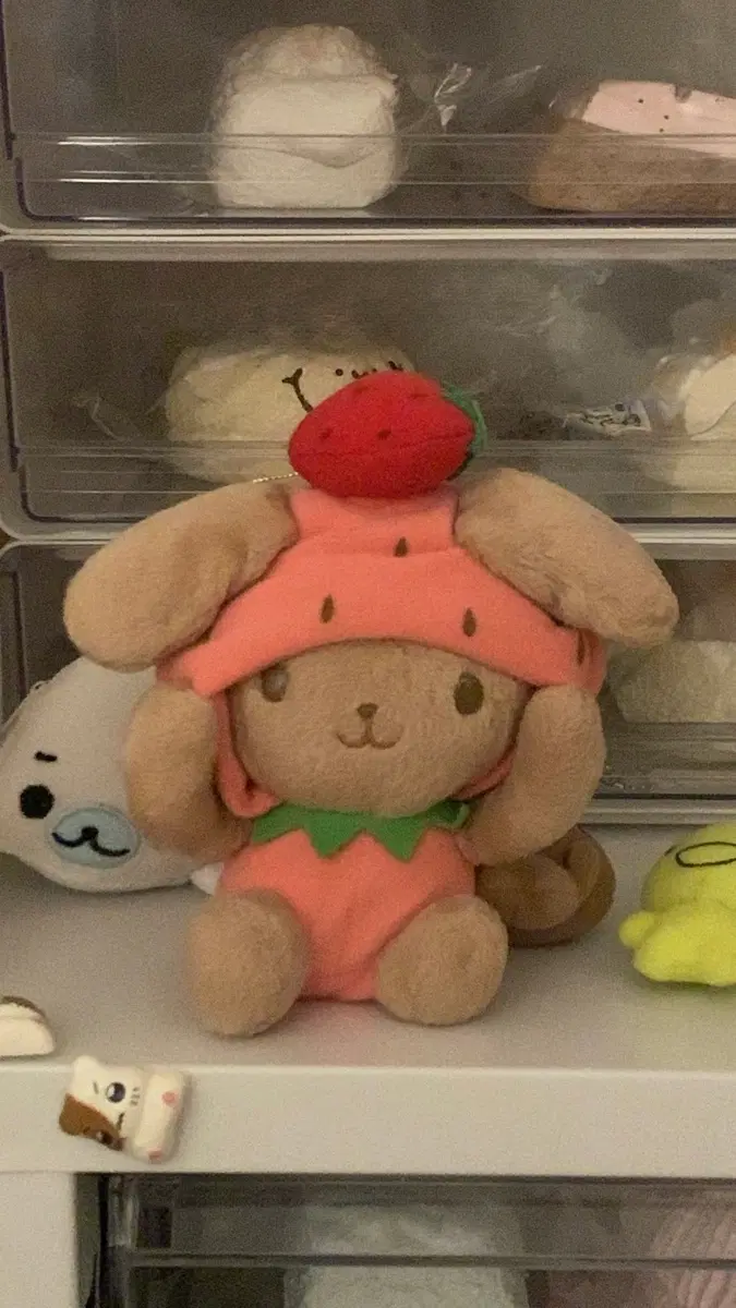 우사즈킨 딸기